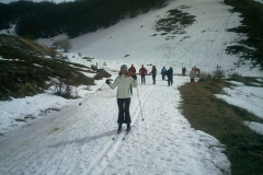 IMAG0233