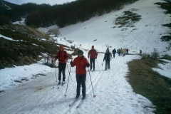 IMAG0234