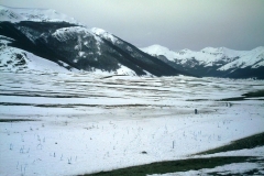 IMAG0240