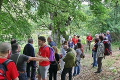 11.06.05_Rosciolo_654