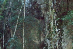 a-012