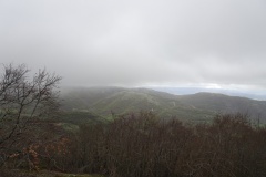 DSC01727