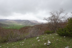 DSC01741