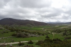 DSC01775