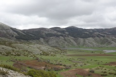 DSC01781