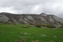 DSC01814