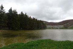 DSC01828