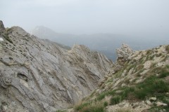 IMG_0594