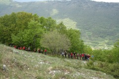 DSC04720