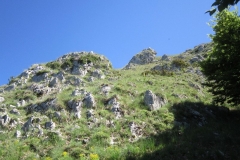 IMG_0025