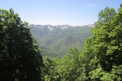 IMG_0028