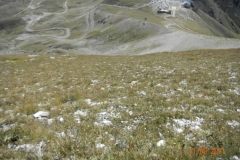 Monte-Aquila-066