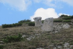 IMG_9213