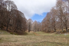 DSC00656