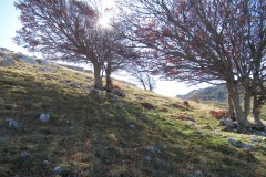 IMG_6905