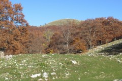 IMG_6962