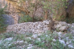 IMG_6981