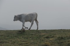 IMG_1505