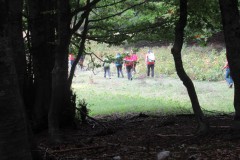 IMG_1521
