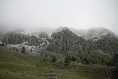 DSCN2285