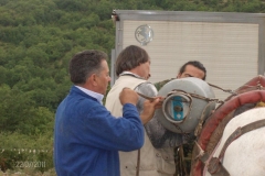 Muli-2011-004