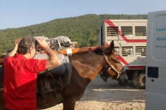 1Muli-27.07.2013-0003