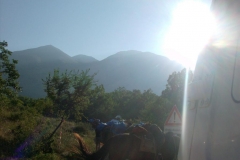 1Muli-27.07.2013-0006