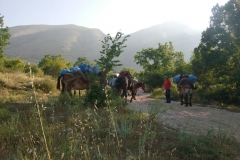1Muli-27.07.2013-0007