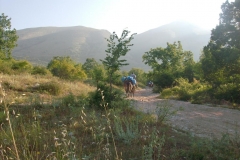 1Muli-27.07.2013-0010