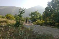 1Muli-27.07.2013-0012