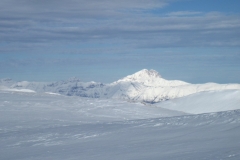 IMG_0453