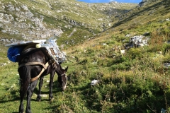 Pannello-fotovoltaico-sul-Rifugio-006d