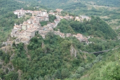 DSC01837