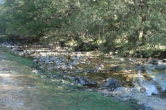 DSC01863