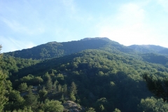 DSC01866