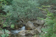 DSC01873