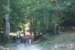 DSC01875