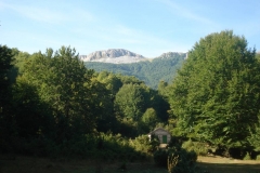 DSC01886