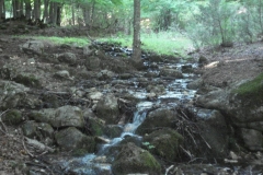 DSC01893