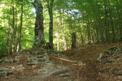 DSC01901