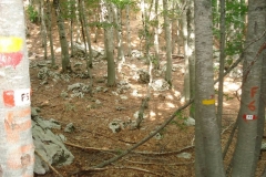 DSC01909