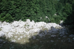 DSC01915