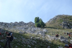 DSC01920