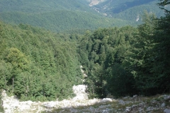 DSC01921