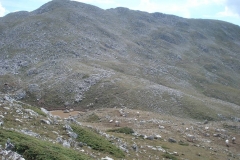 DSC01933