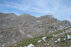 DSC01934