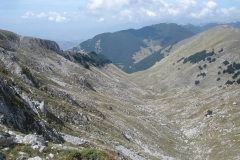 DSC01940