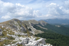 DSC01957