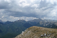 DSC01961