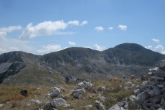 DSC01964